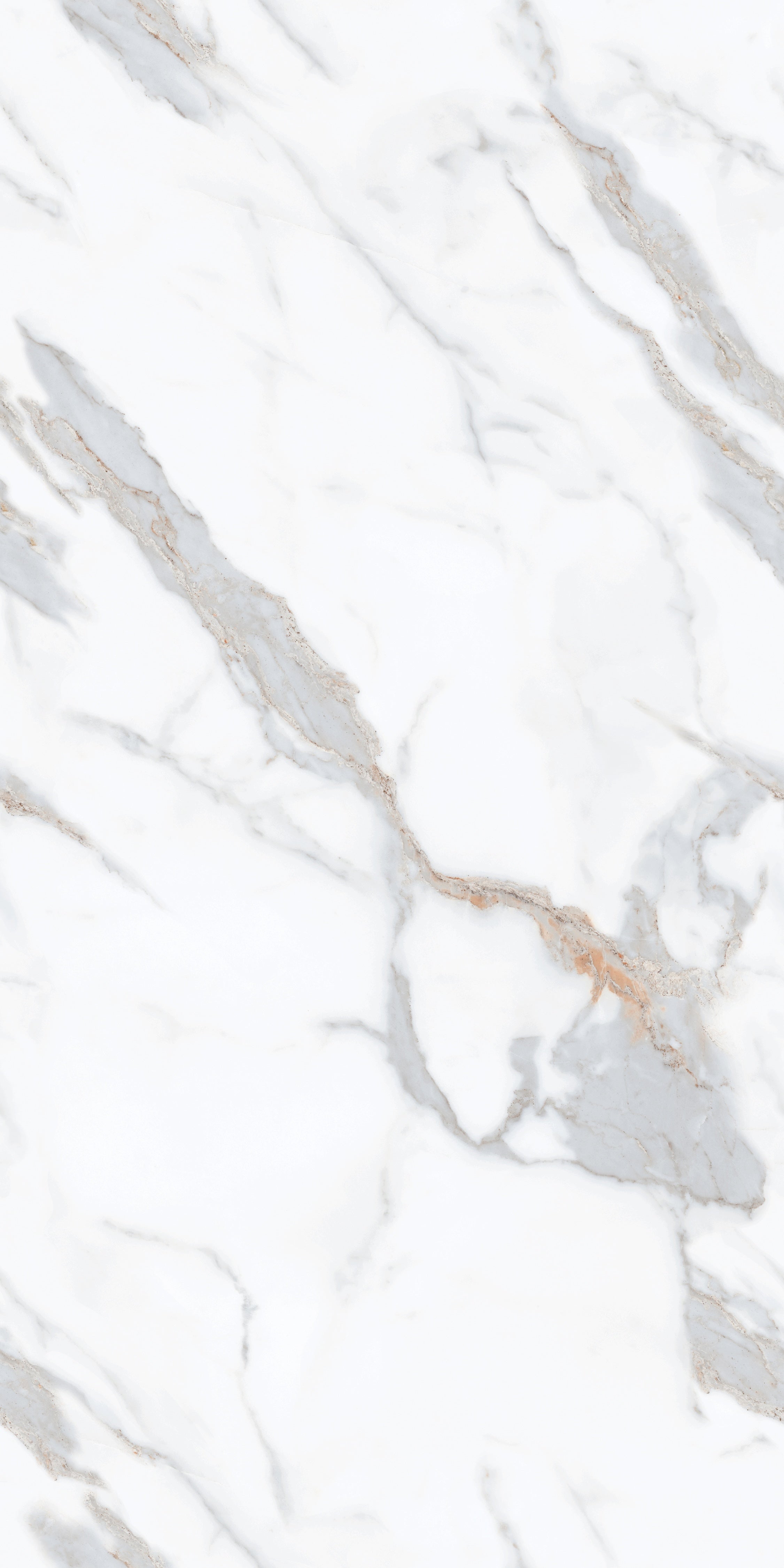 JARVIS BLUE DIGI MATT CONTINUOUS 24x48