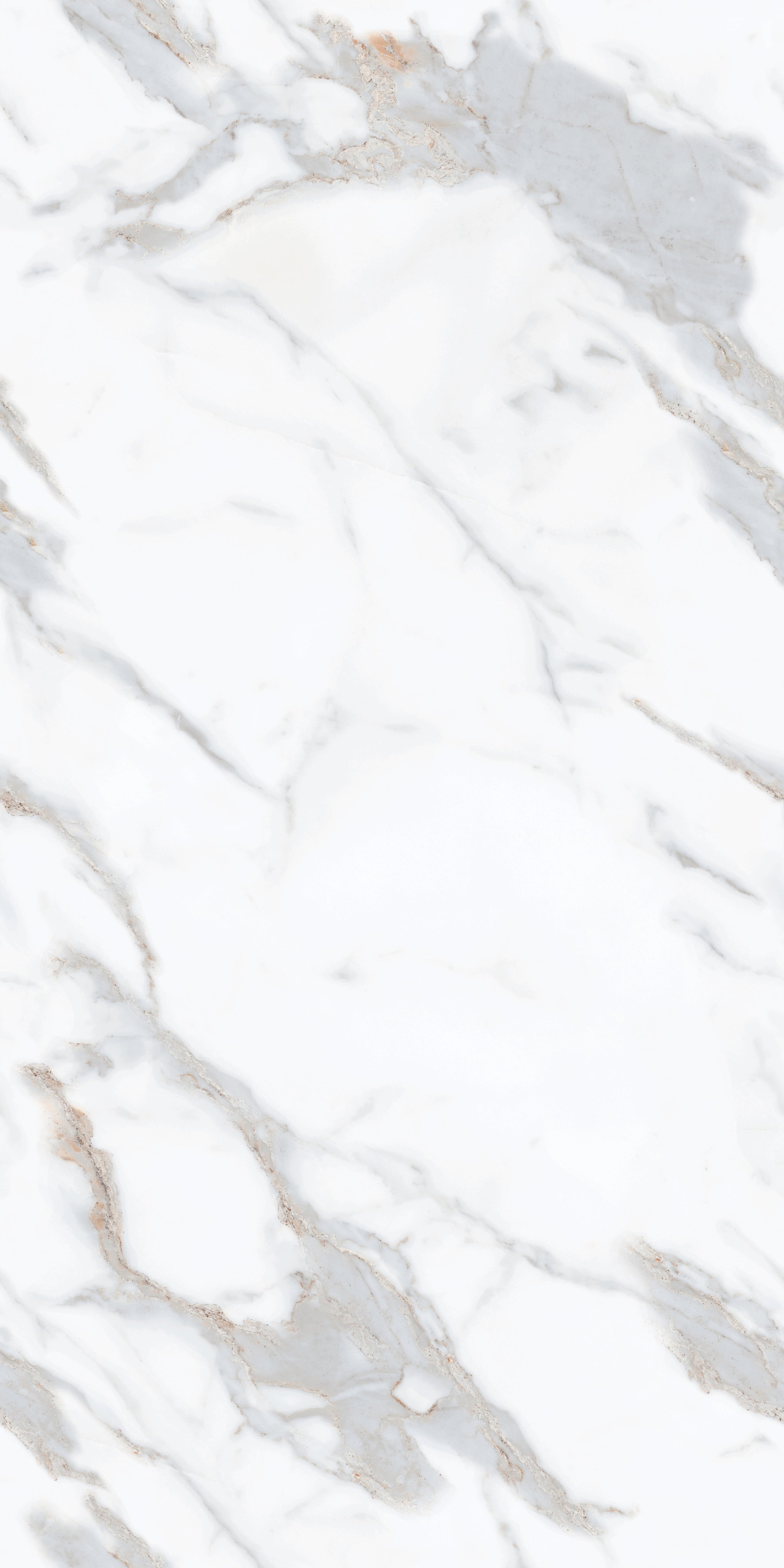 JARVIS BLUE DIGI MATT CONTINUOUS 24x48