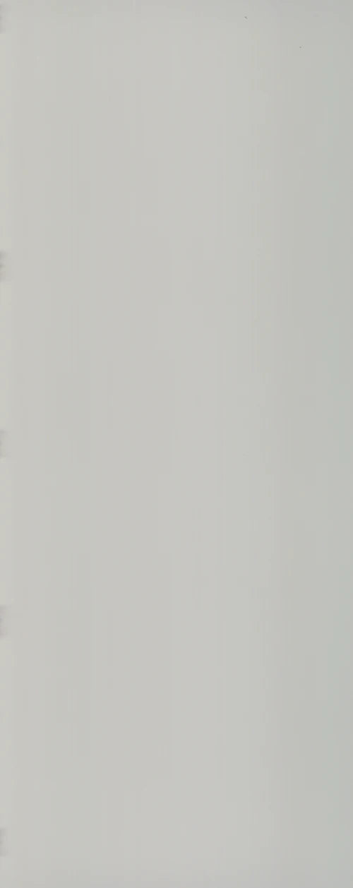 BIANCO ASSOLUTO 4X10