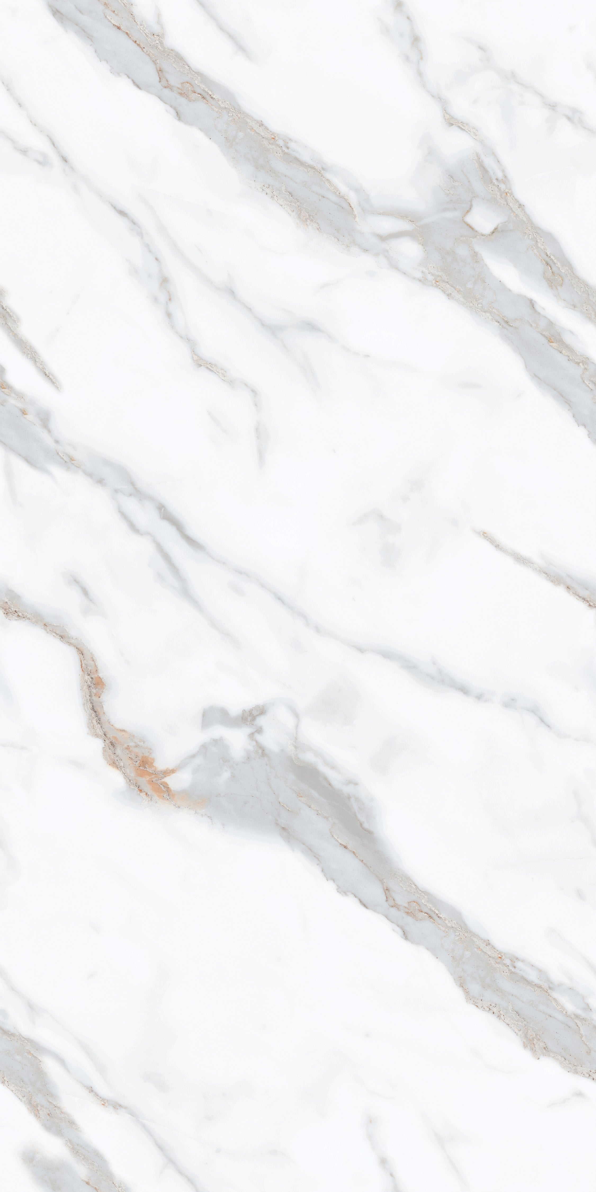 JARVIS BLUE DIGI MATT CONTINUOUS 24x48