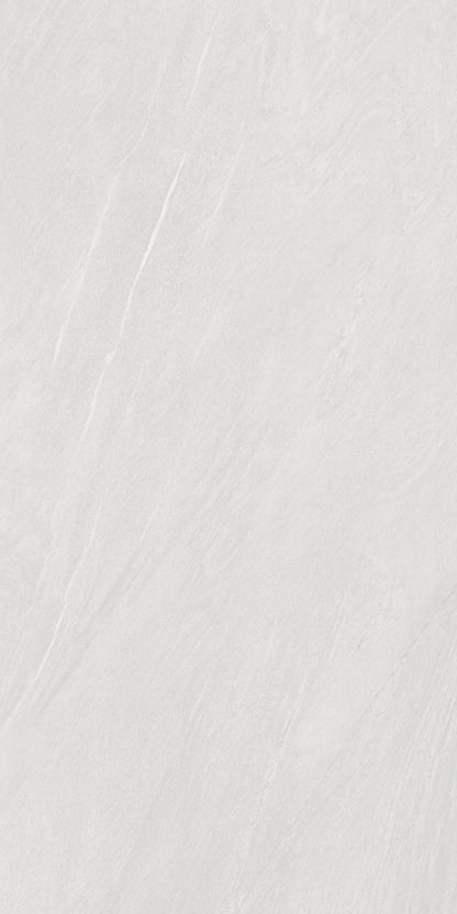 SYMPNONY SILVER MATT 24x48